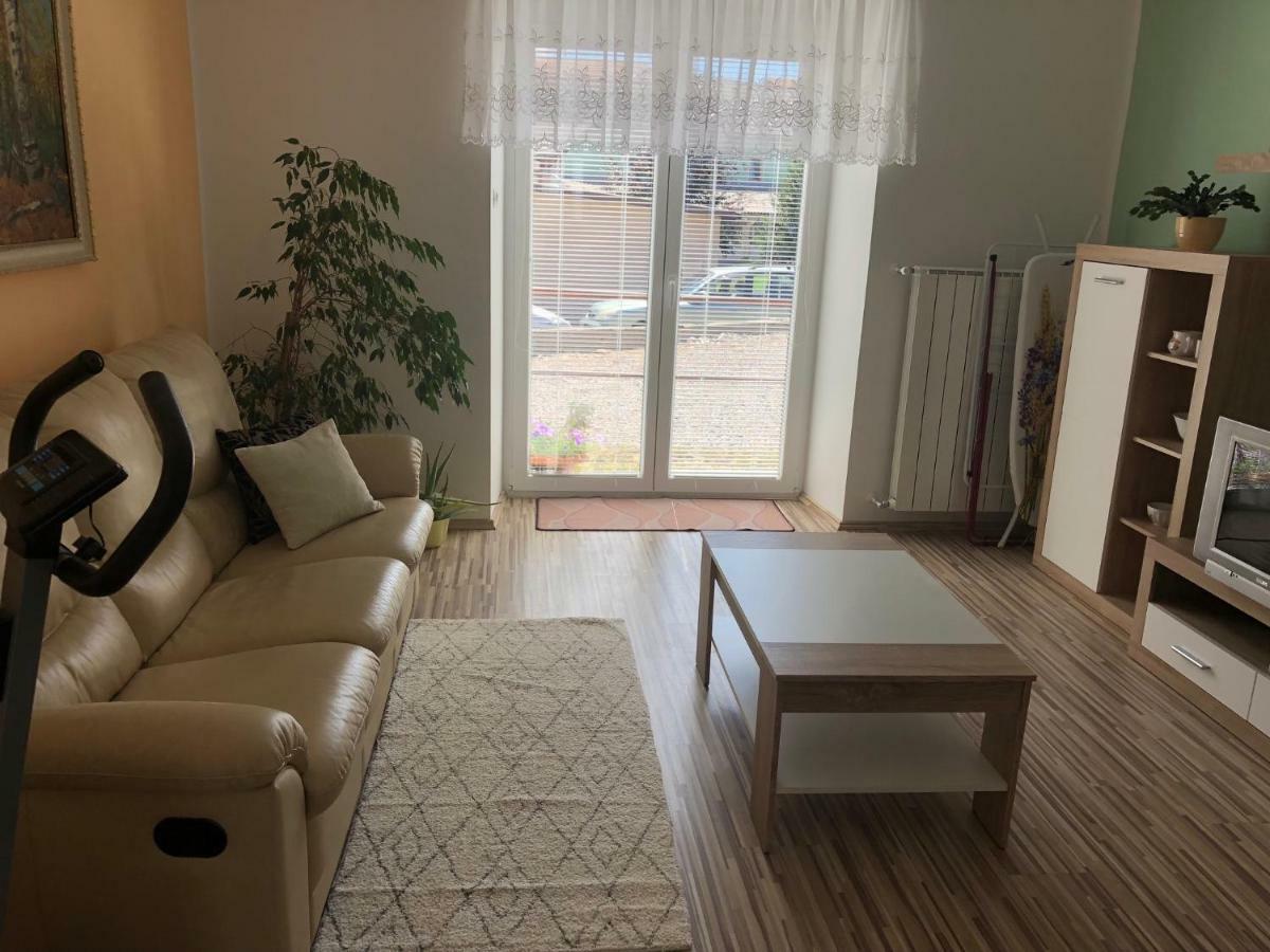 Apartma Mahnic Postojna Exteriér fotografie