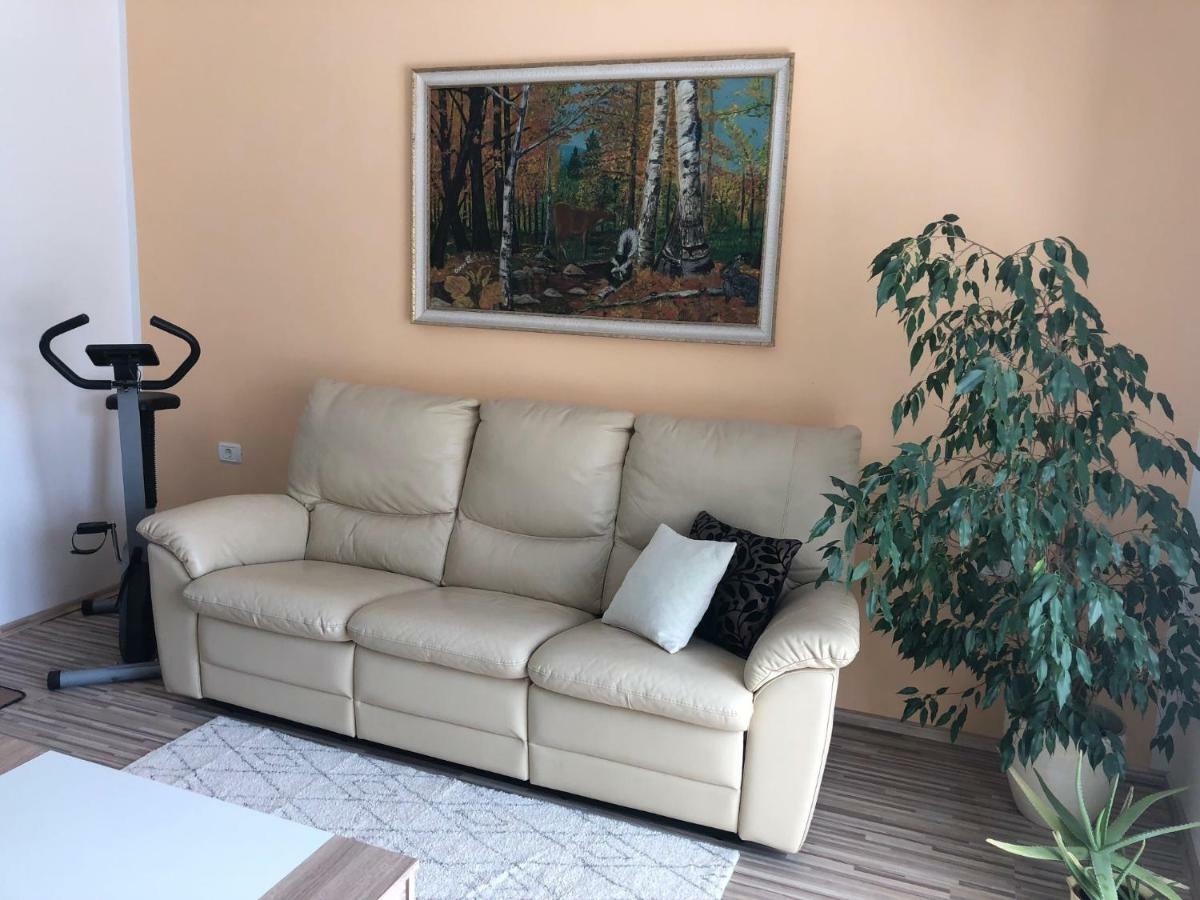 Apartma Mahnic Postojna Exteriér fotografie